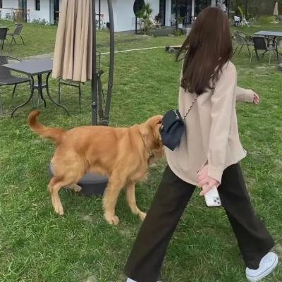 总是有个人在爱你